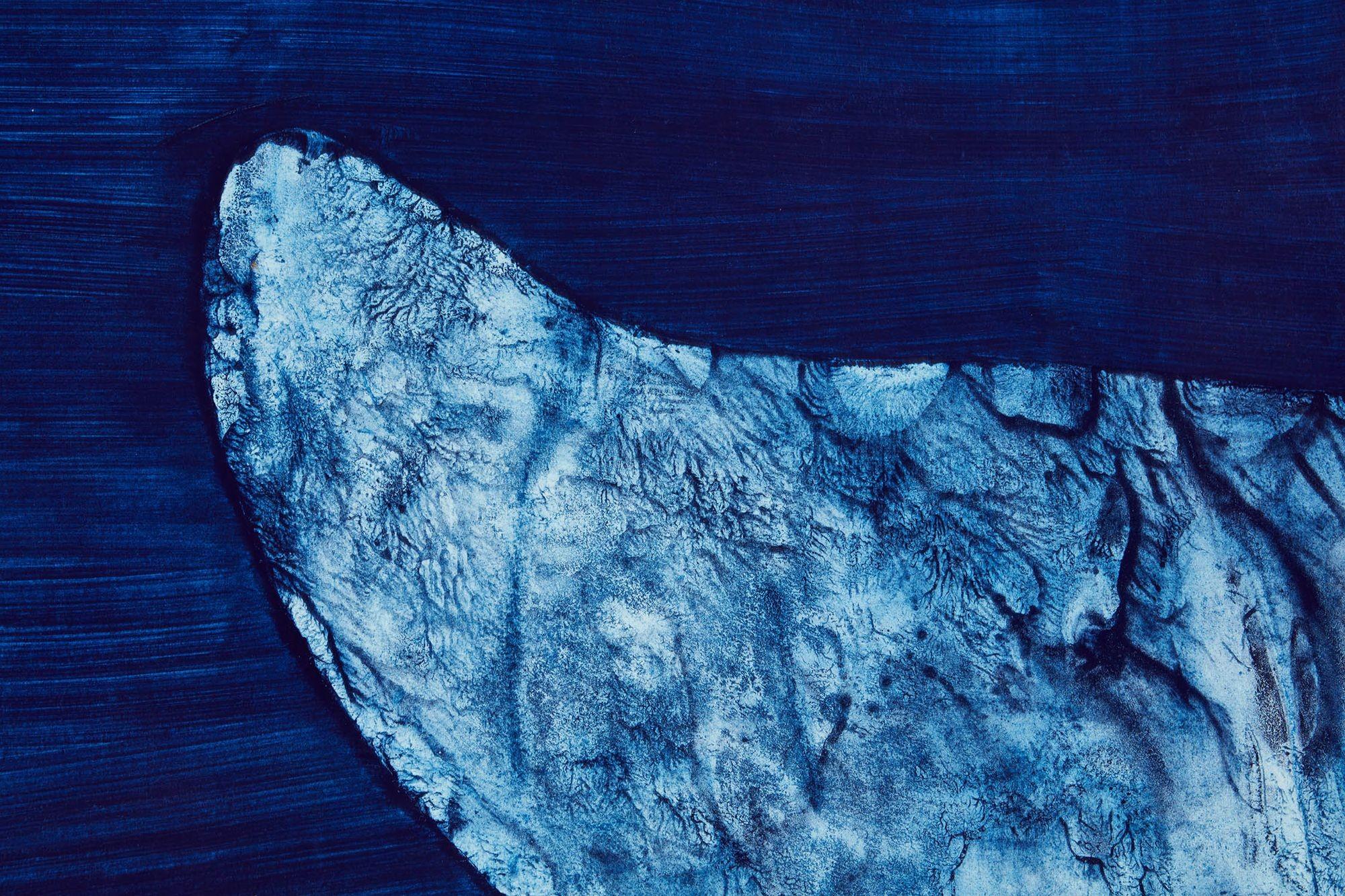 White Fluke, ein Kunstwerk des britischen Künstlers Julian Meredith. Meredith ist bekannt für seine schönen Darstellungen von Walen und Fischen, und seine Werke befinden sich in mehreren britischen Museen. Er hat auch riesige Kunstwerke von Walen