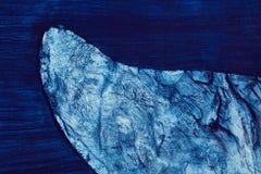 White Fluke
