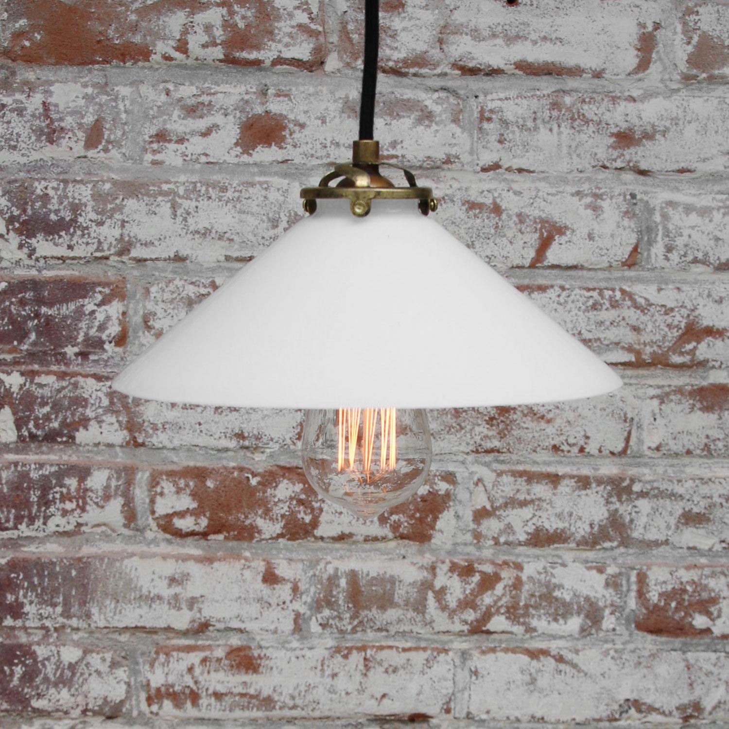 french glass pendant lights