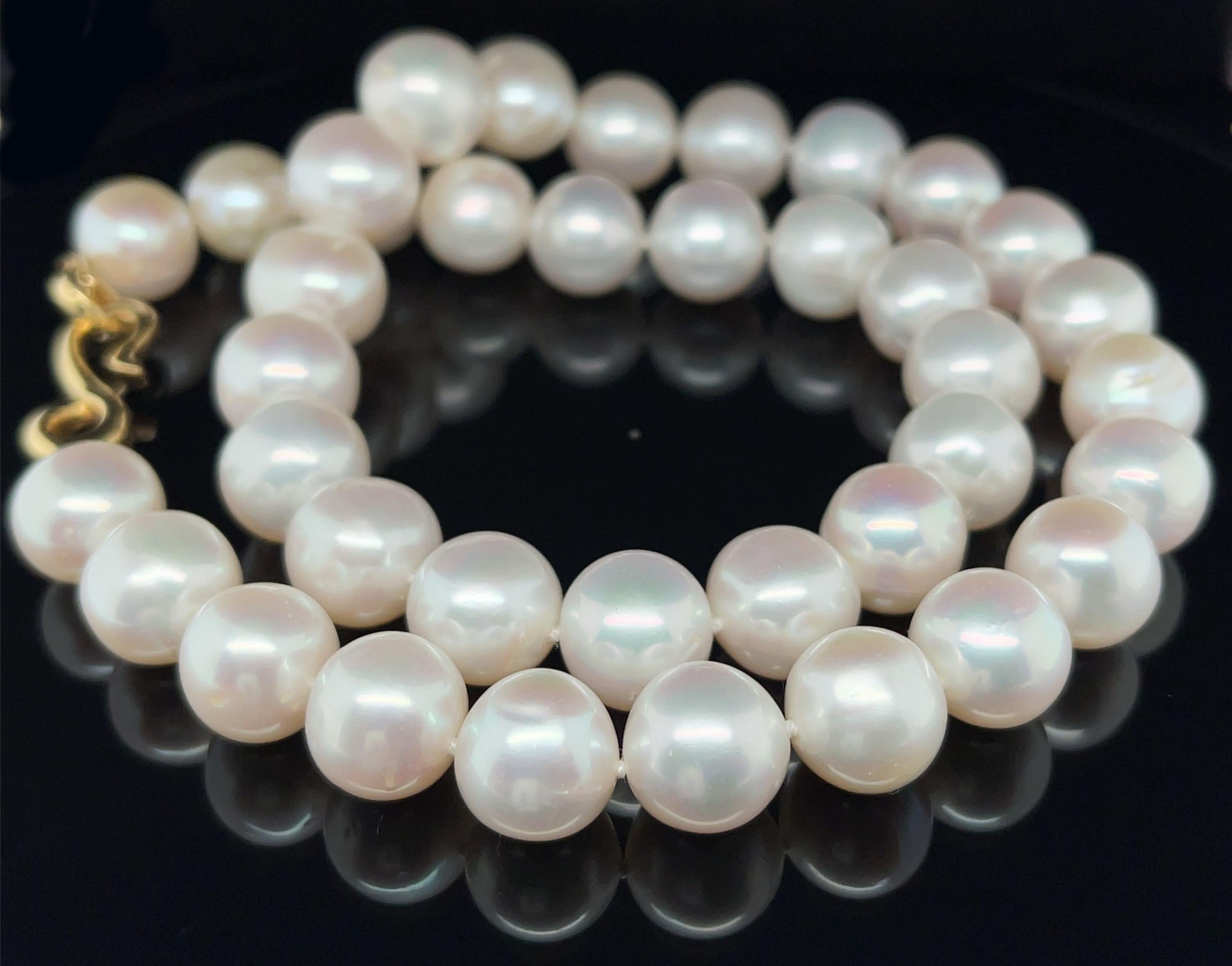 This stunning strand of white freshwater pearls gives the look of luxury at an affordable price! Featuring 38 slightly oval shaped pearls with beautiful luster, this strand measures 18 inches long and is finished with an 18k yellow gold 