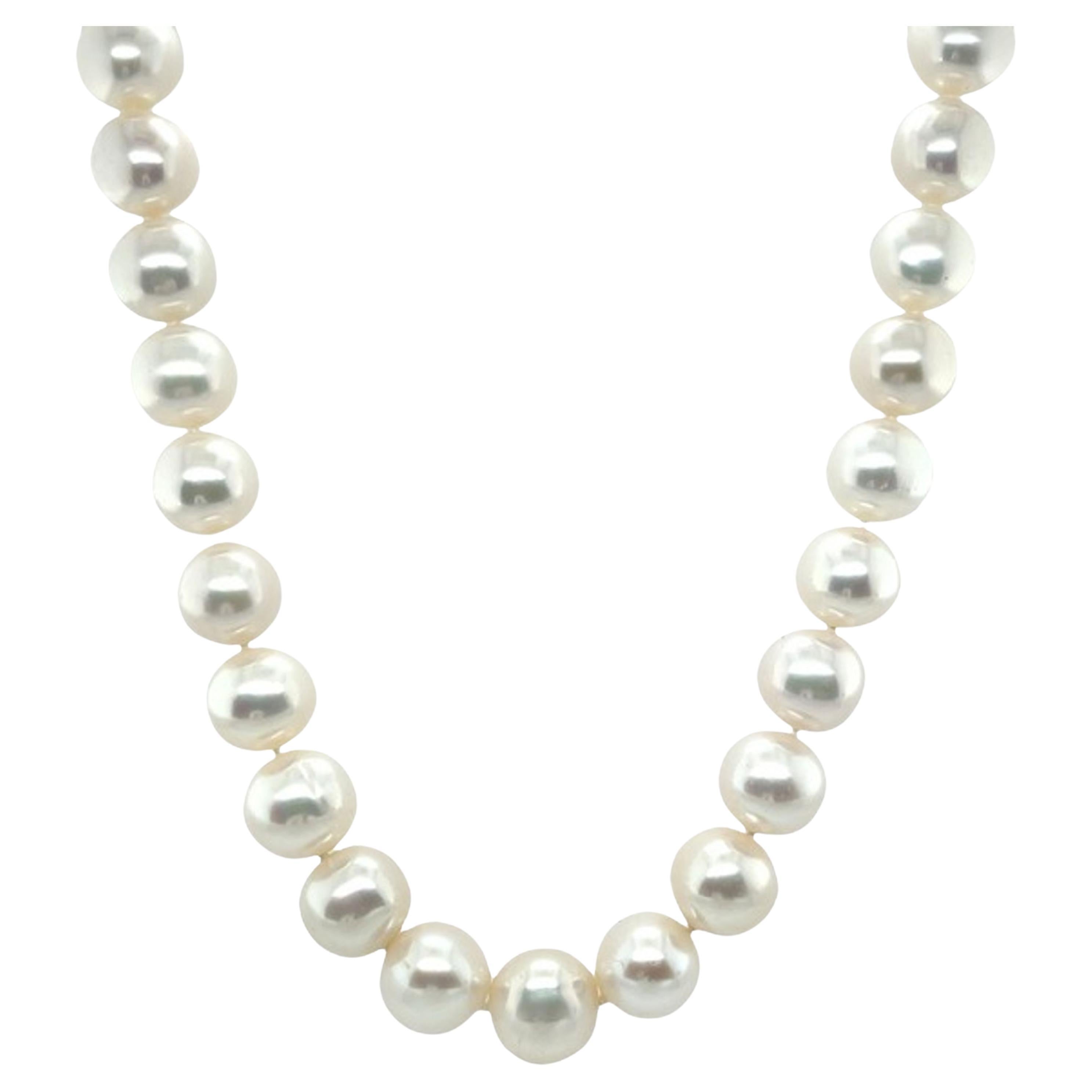 White Freshwater Pearl Necklace with Yellow Gold Clasp For Sale