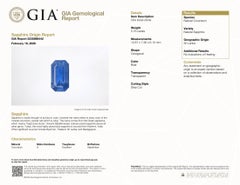 White Gold 7.16ctw GIA No Heat Ceylon Long Emerald Cut Sapphire & Diamond Ring