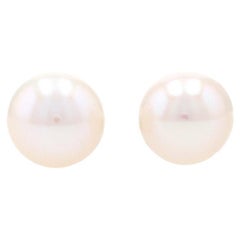 Clous d'oreilles Akoya perles 14 carats percées 10,5 mm - 11 mm