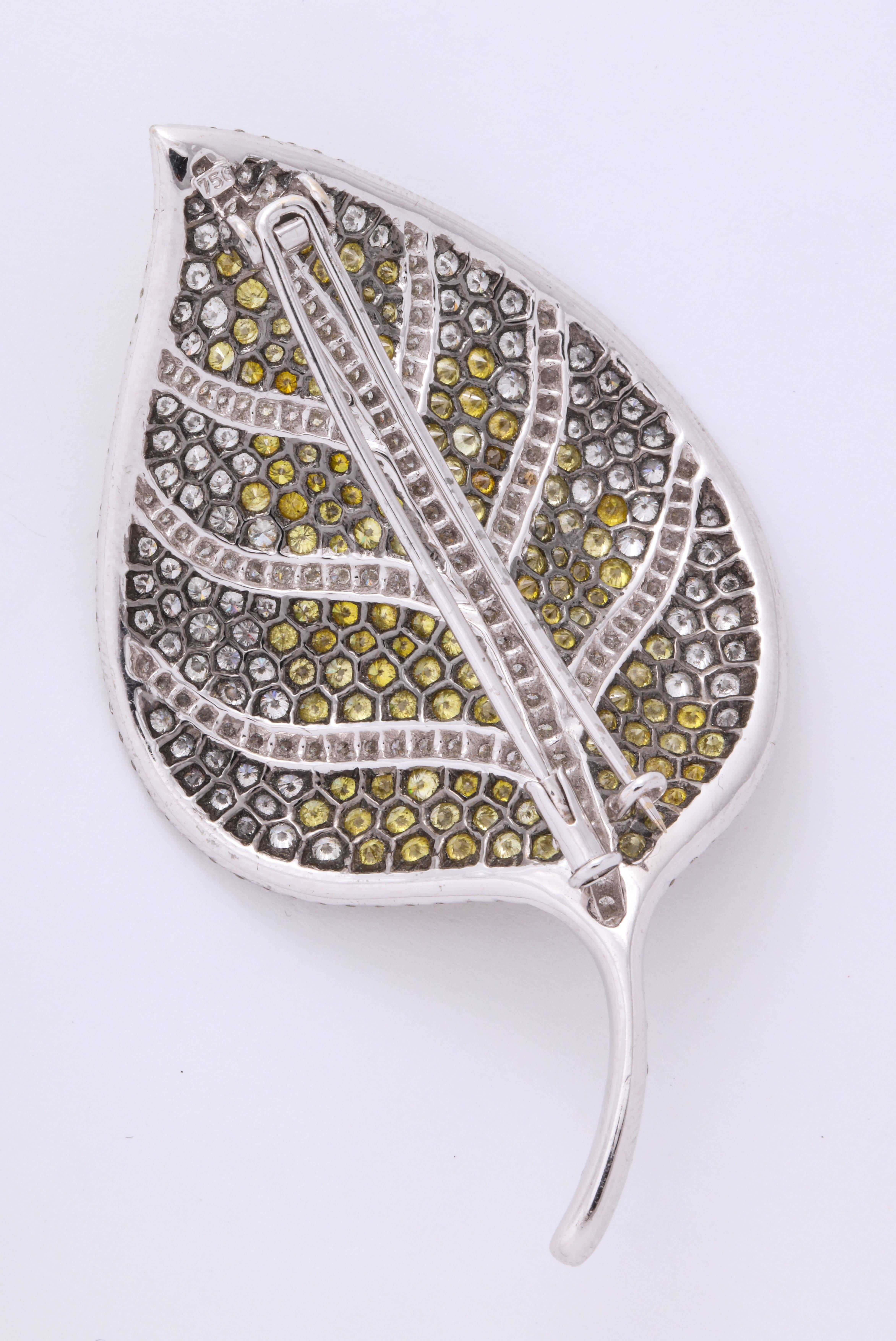18 Karat white gold stylized gently curved leaf brooch decorated with pave'-set round brilliant-cut fancy yellow diamond striation: 4.86 carats and white diamonds surround: 3.22 carats, with an oxidized wash for the final burst of POP!
Dimensions:
