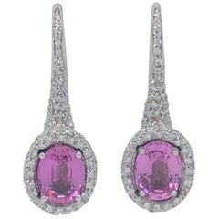 White Gold Diamond and Pink Sapphire Chantecler Earrings
