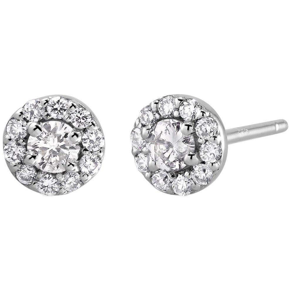 White Gold Two Diamond Center Weighing 0.30 Carats Halo Style Stud Earrings