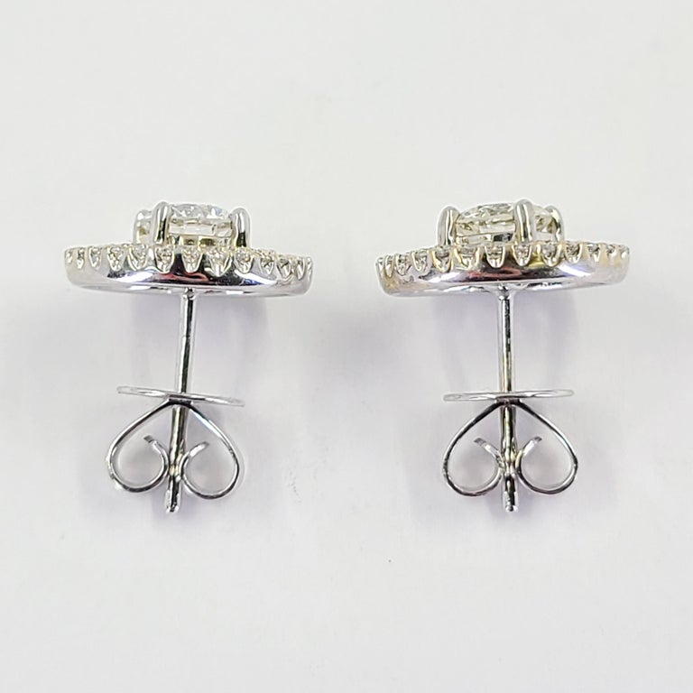 Double Halo Stud Earrings with 0.15tw of Diamonds in Sterling Silver (Diamond) main image 0