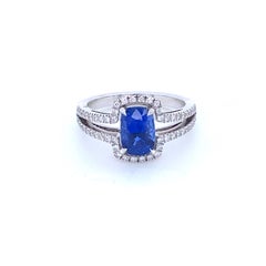 White Gold Engagement Ring with Ceylon Sapphire and 56 Diamonds