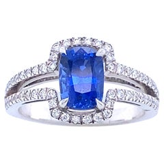 White Gold Engagement Ring with Ceylon Sapphire and 56 Diamonds