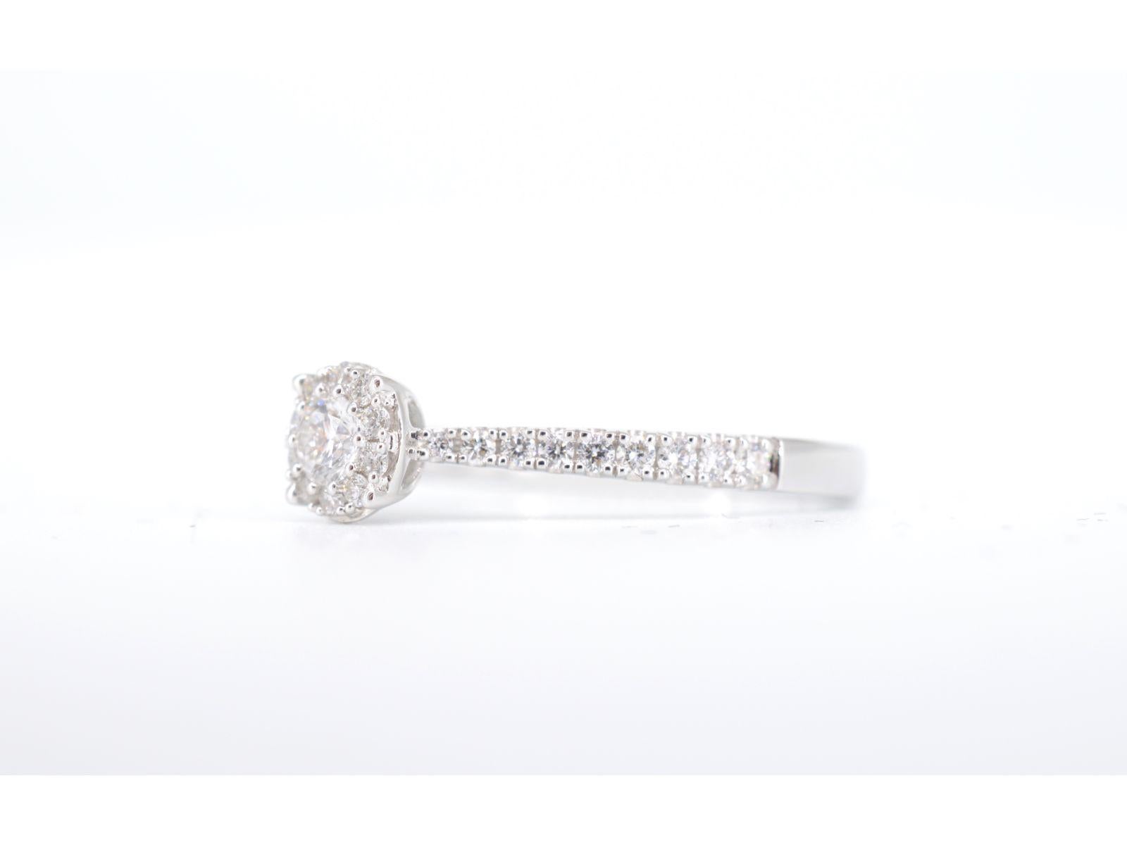 Taille brillant Bague Entourage en or blanc avec diamants en vente