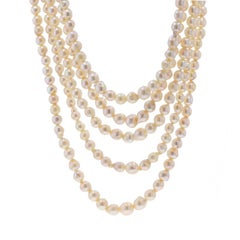 Collana a cinque fili graduati con perle d'acqua dolce in oro bianco da 15 3/4" 14k