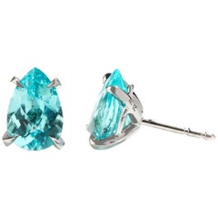 White Gold Paraiba Tourmaline Earrings