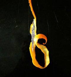 Sterling Silver Men Contemporary Juniper Brooch with Diamonds