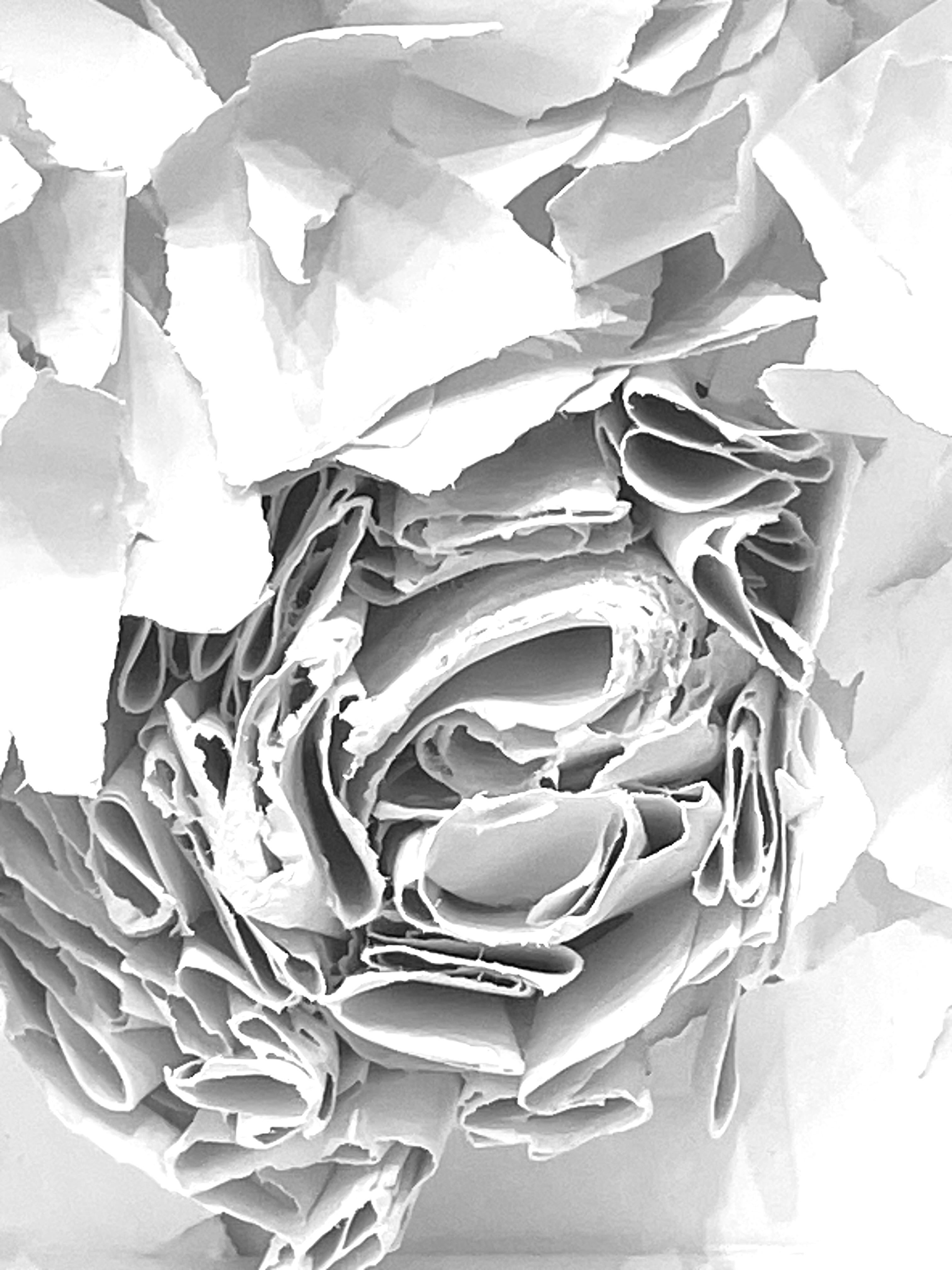 Escultura de papel recortado a mano enmarcada de la artista francesa contemporánea Veronique Guillou.
El papel se corta, se pinta y se rocía para que mantenga su forma abstracta.
De una colección de tres.