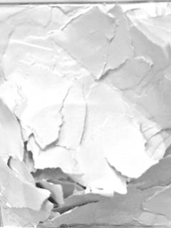 White Hand Cut Paper Sculpture In Frame, France, Contemporary