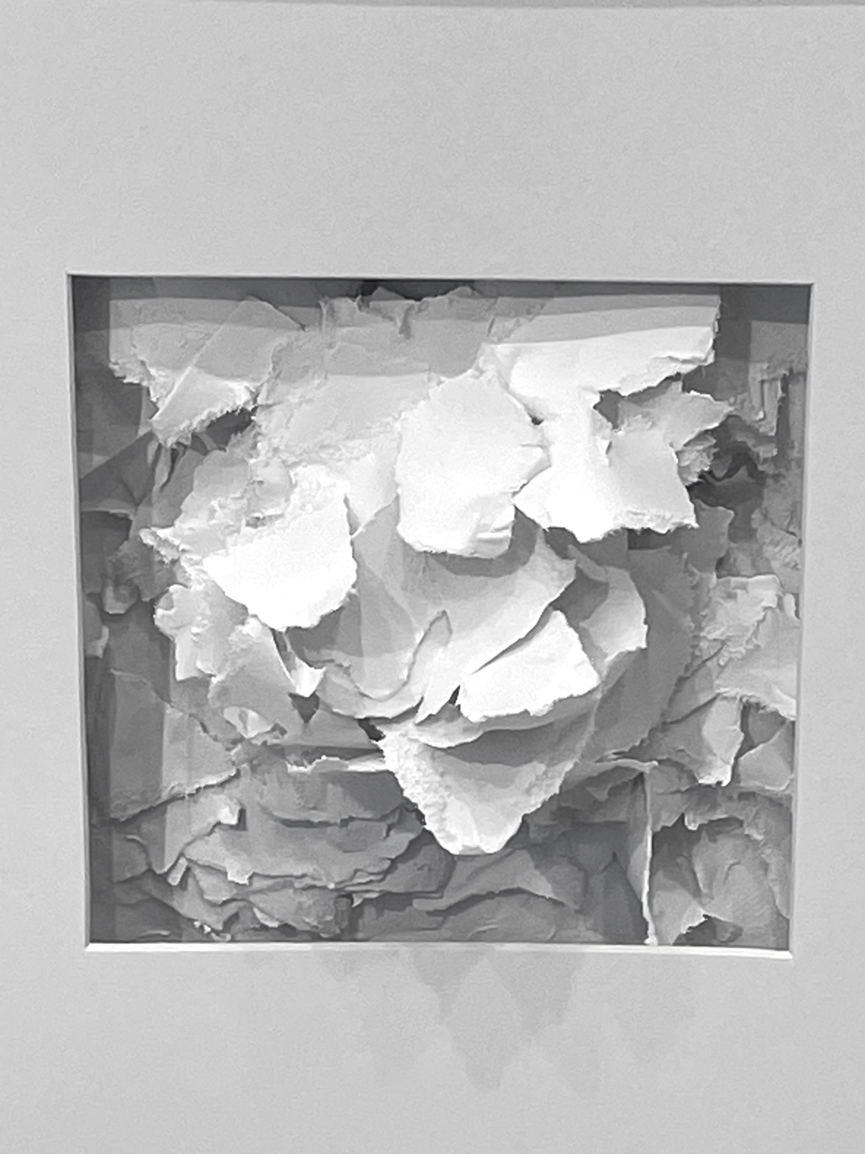 Contemporary French artist Veronique Guillou framed hand cut paper sculpture.
Paper is cut, painted and sprayed to remain in abstract shape.
From a collection of three.