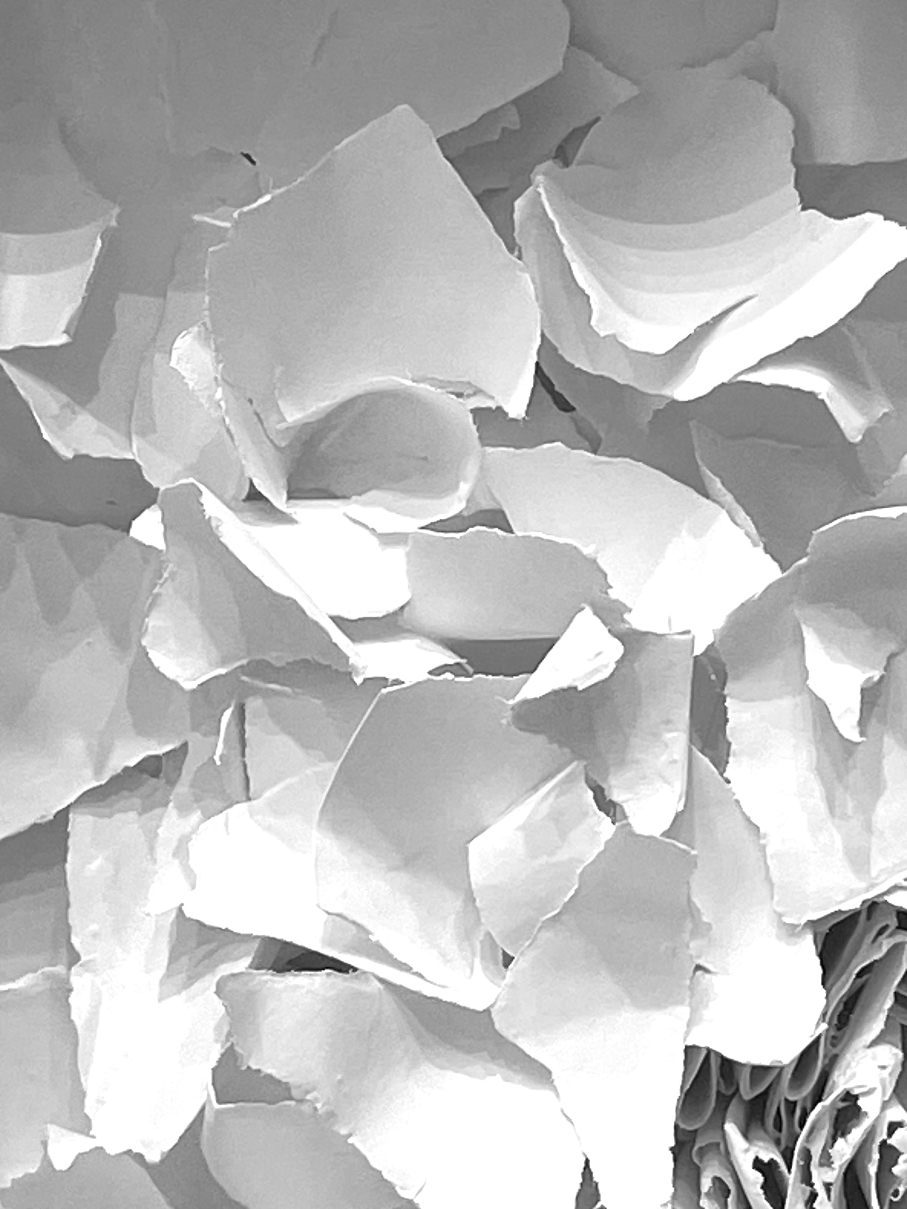 Escultura blanca de papel cortado a mano en marco, Francia, Contemporáneo Francés en venta