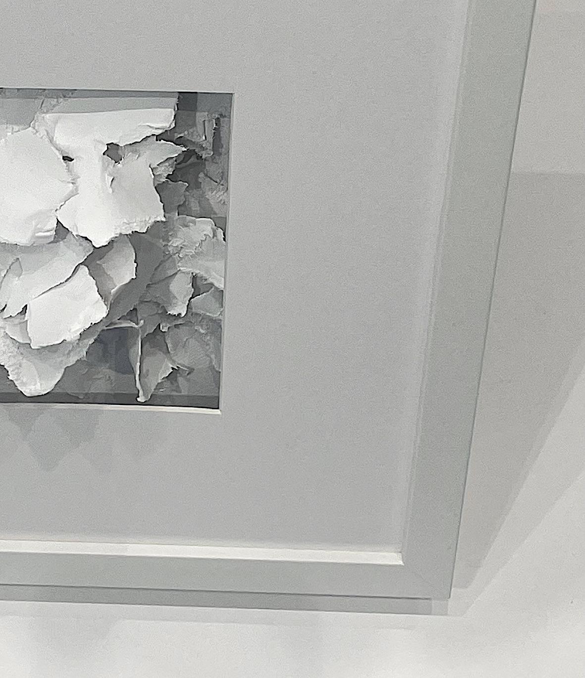 White Hand Cut Paper Sculpture In Frame, France, Contemporary In New Condition For Sale In New York, NY
