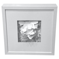 White Hand Cut Paper Sculpture In Frame, France, Contemporary