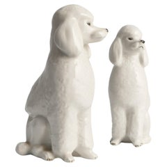 Vintage White Hand-Painted Porcelain Poodle Dogs by Lomonosov, Soviet, 1960s, Set of 2