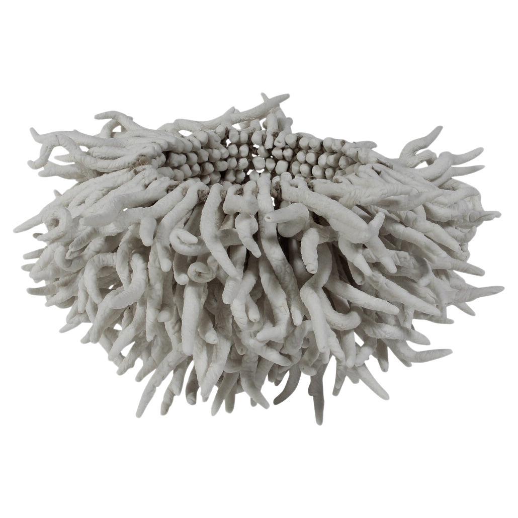 Ciotola francese contemporanea di forma tubolare realizzata a mano in porcellana.
Ogni pezzo è fatto a mano e assemblato per formare una ciotola.
Si ispira alle crescite organiche del mare.
Fa parte di una collezione.