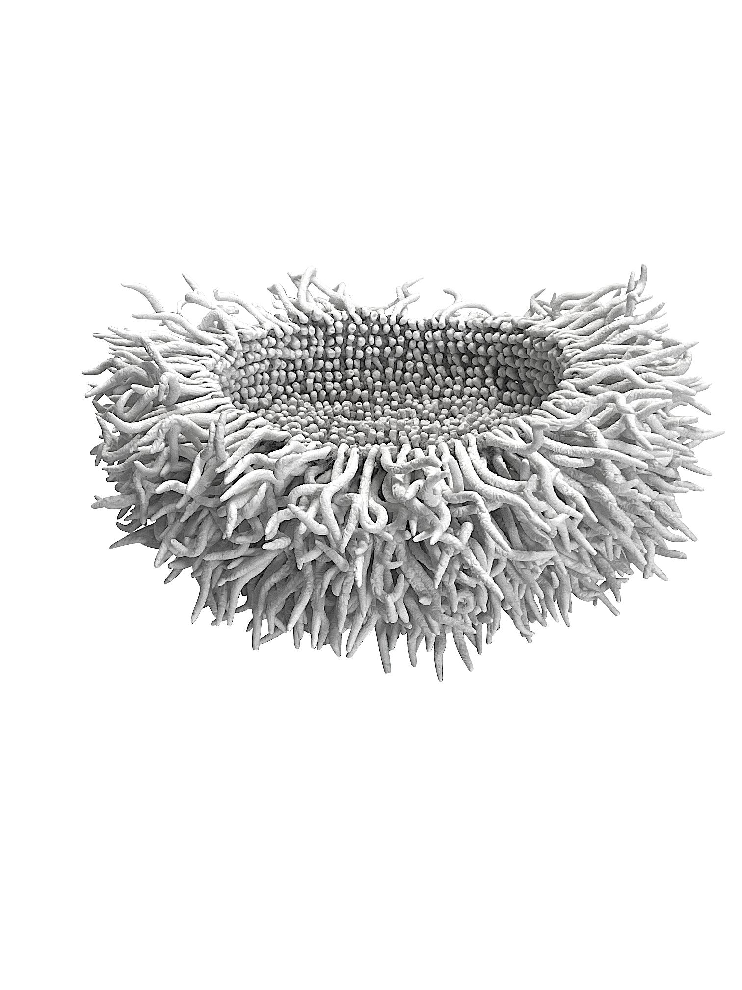 Porcellana Ciotola scultorea in porcellana bianca fatta a mano, Francia, Contemporaneo in vendita