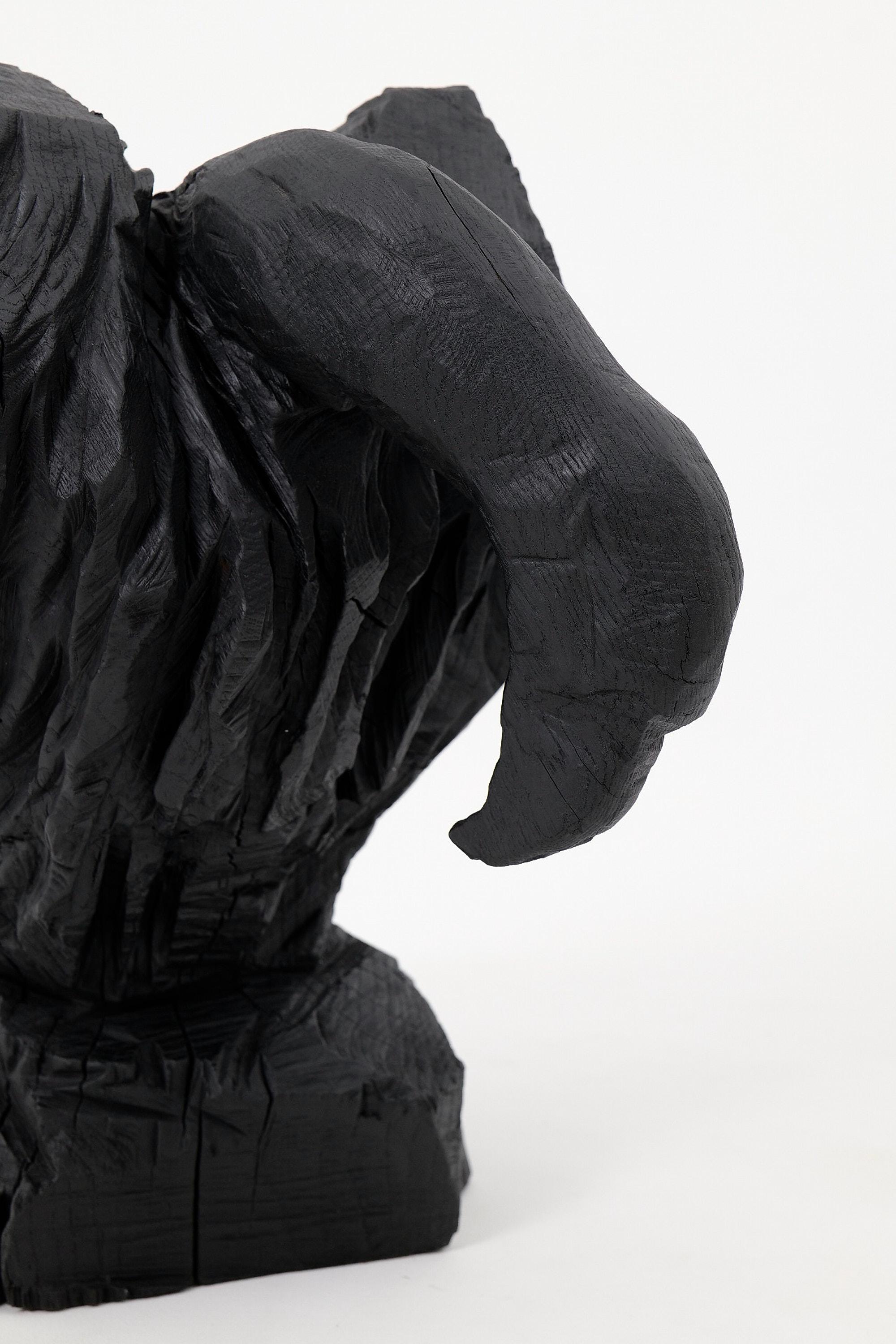 Questa scultura intagliata a mano cattura l'essenza fugace di un gabbiano dalla testa bianca in forma astratta, resa in legno annerito che ne enfatizza la presenza scultorea. Il pezzo è definito da forti segni di scalpello, fessure organiche e dal