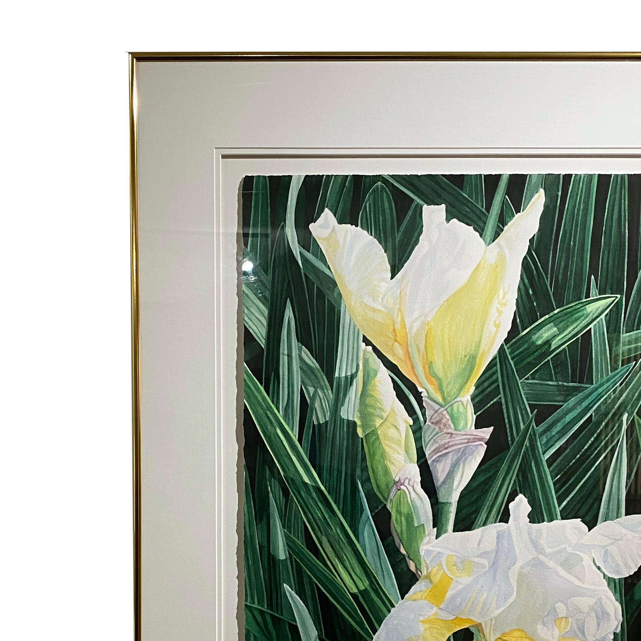     Sehr schönes Aquarell von weißer Iris und schönen grünen Blättern, die eine Stimmung von sauberer floraler Eleganz schaffen.
 Helen Burkett FSWS, FWS, SWS, NWS stammt ursprünglich aus Arlington, VA, und zog 1974 nach Sarasota, FL, wo sie ihr