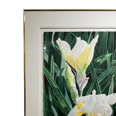 White Iris by Helen Burkett