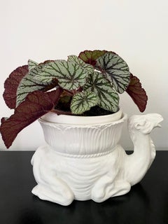 White Italian Ceramic Camel Flowerpot, Planter, Late 20th Century