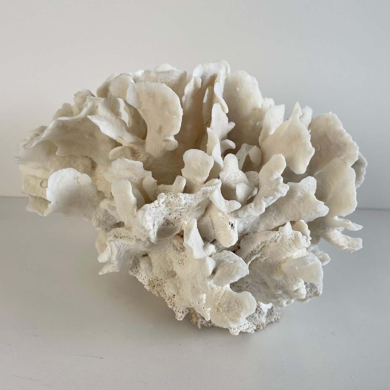 Weiße weiße Spitzenschale mit Koralle im Zustand „Gut“ im Angebot in Brea, CA