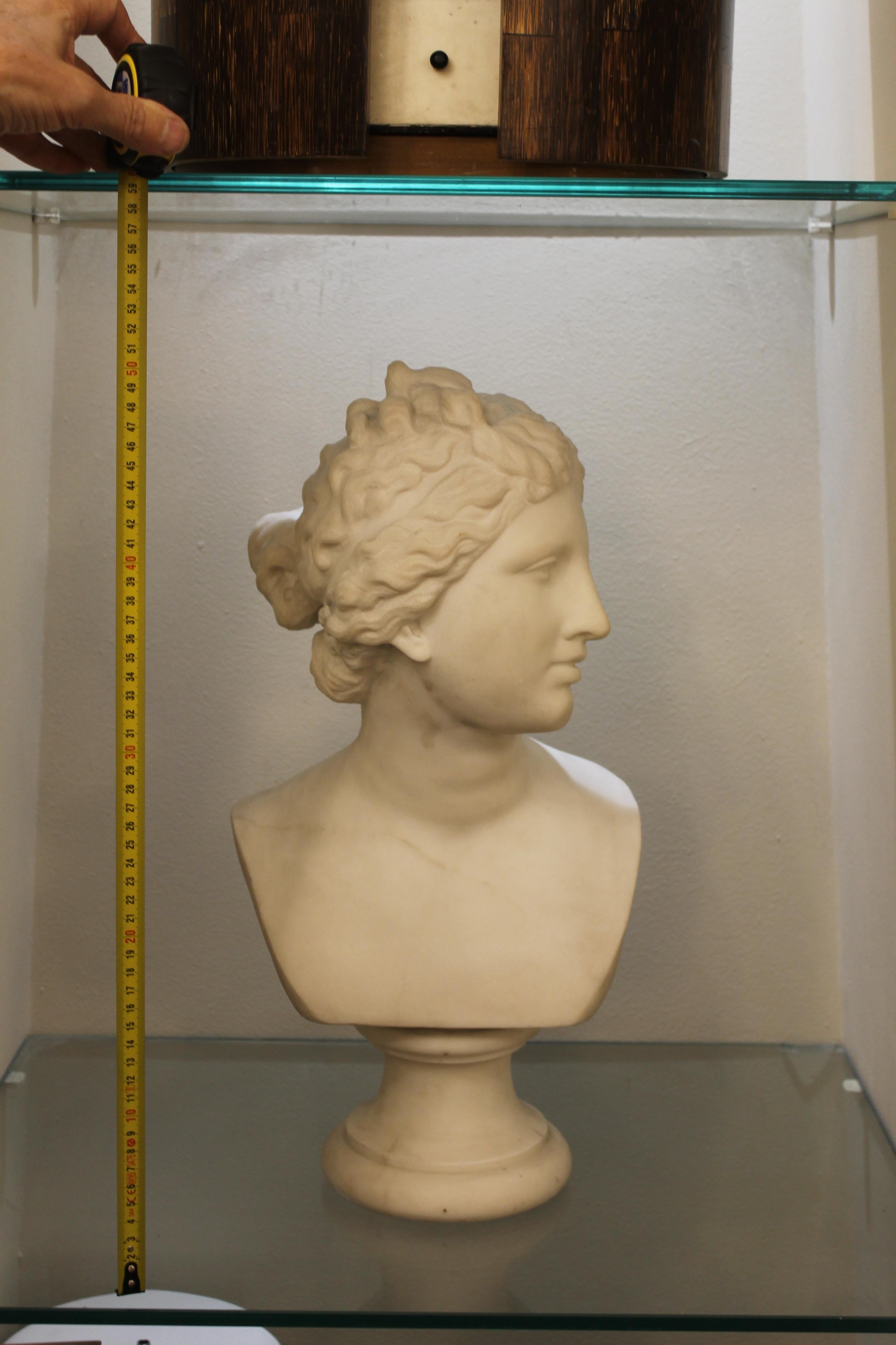 White Marble Bust De Carrare, 19th, Signed Girard 4