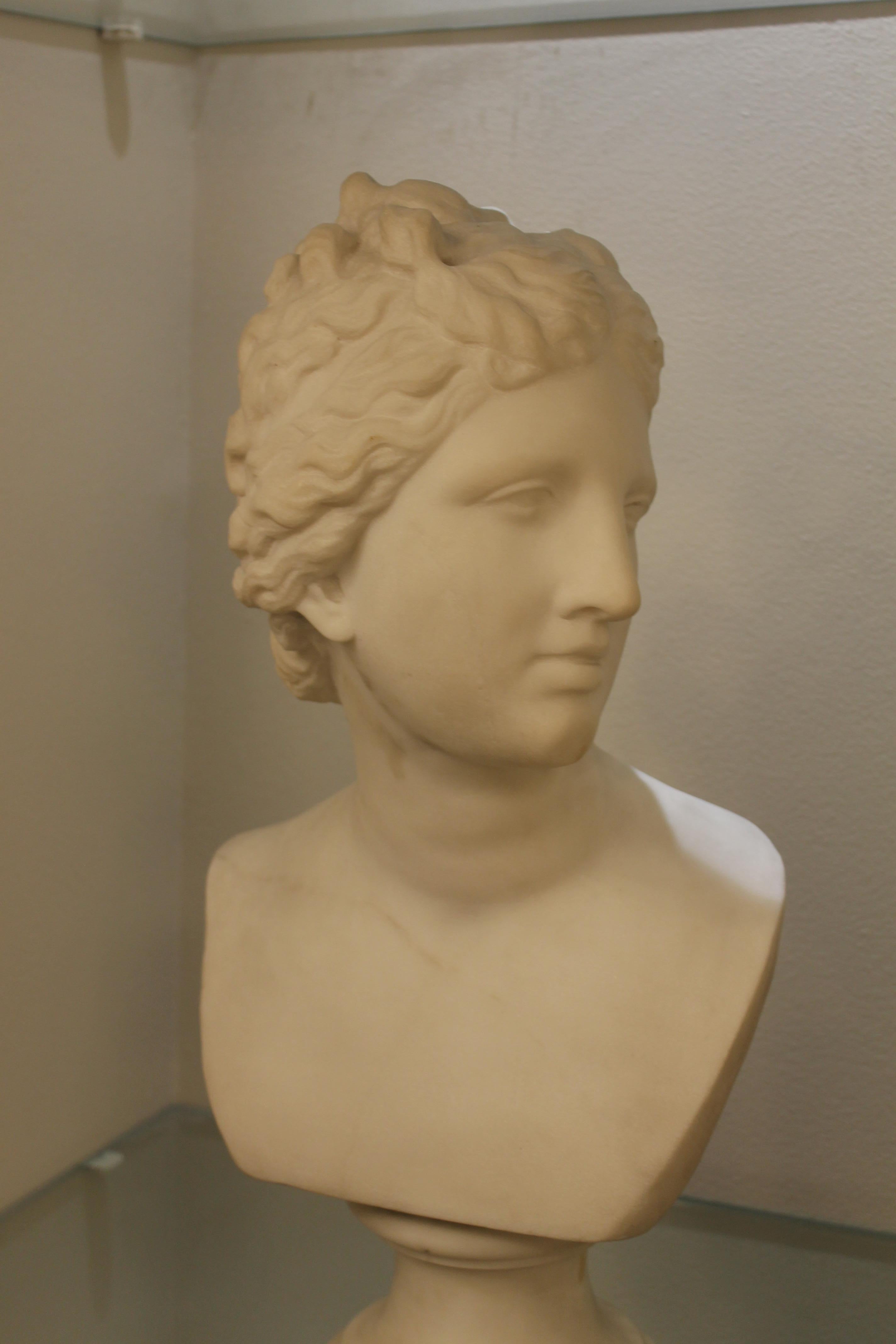 White Marble Bust De Carrare, 19th, Signed Girard 5