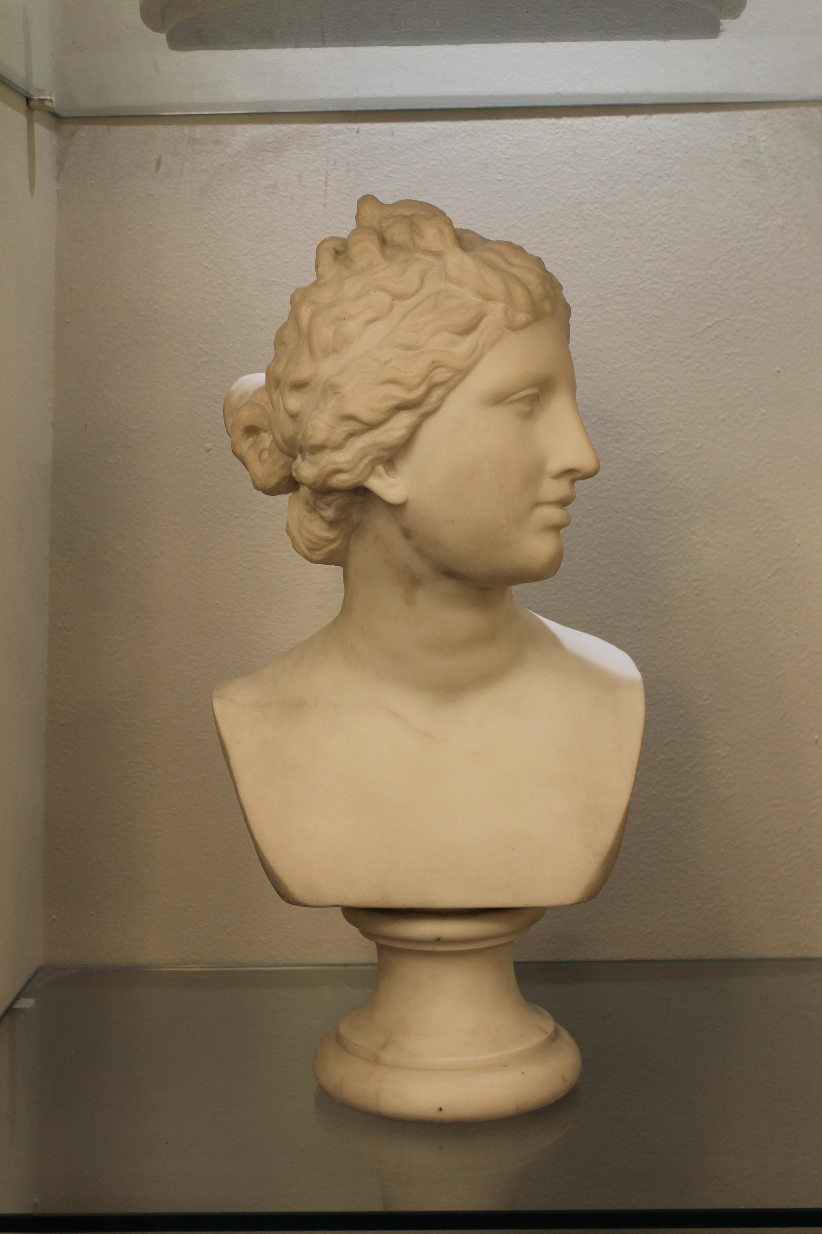 Carved White Marble Bust De Carrare, 19th, Signed Girard