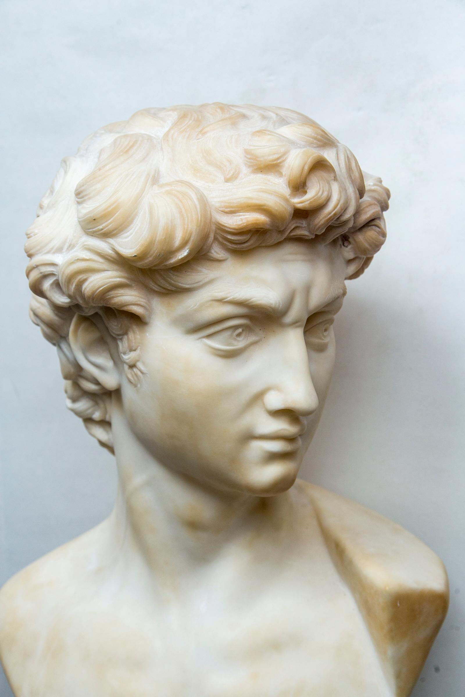 A well executed marble bust of King David as a youth, copied from the original at the Galleria dell'Accademia, Florence, Italy. It is one of the most famous works of art in the world 
David is a masterpiece of Renaissance sculpture created in marble