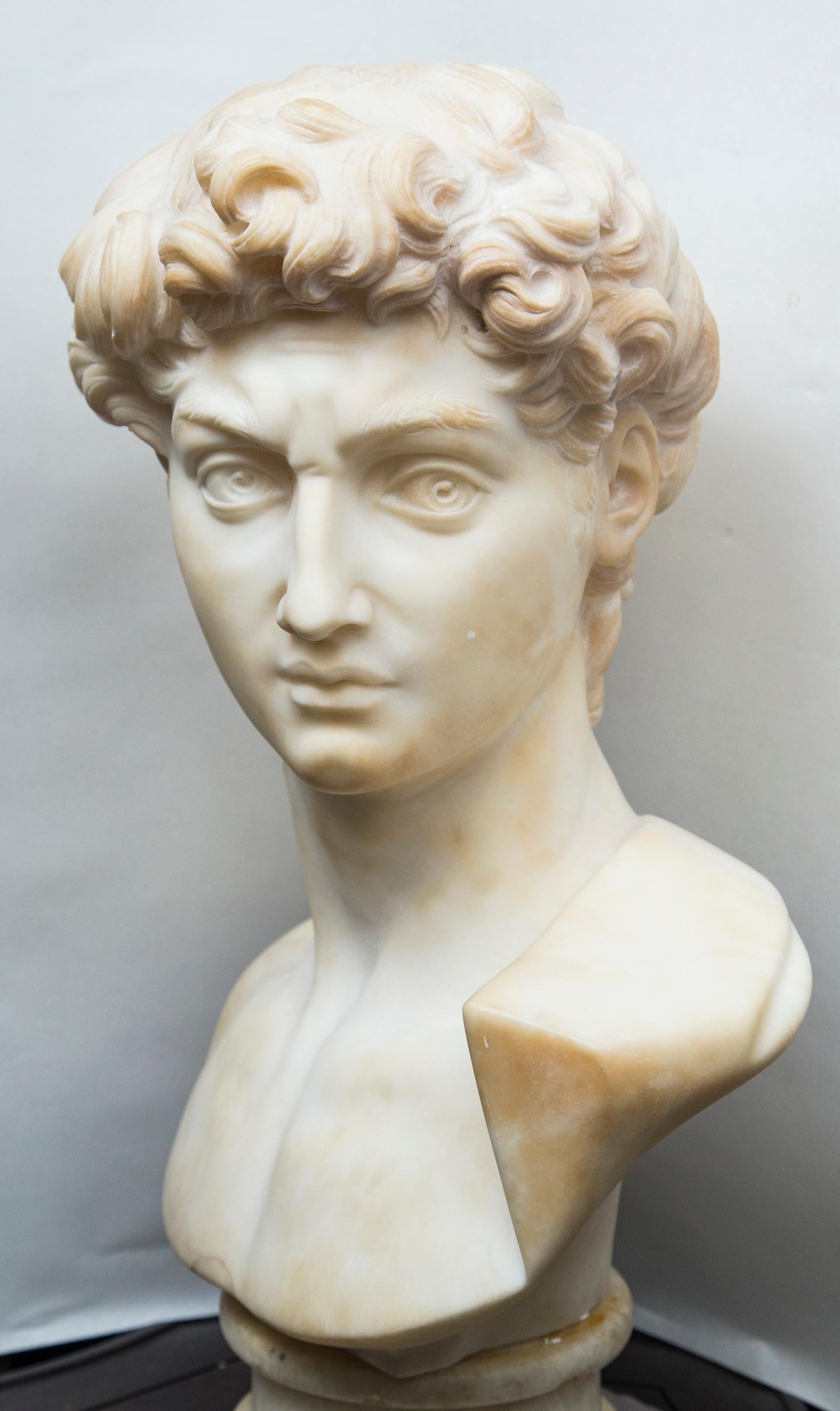 White Marble Bust of David after Michelangelo For Sale 1
