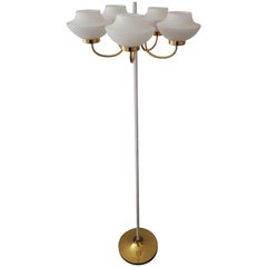 Vintage White Metal and Brass 5 Armed Floor Lamp with Opaline Glass, 1960s, Italy
