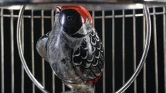 White Metal Cage with Ceramic Birds, One of a Kind