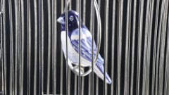 White Metal Cage with Ceramic Birds, One of a Kind