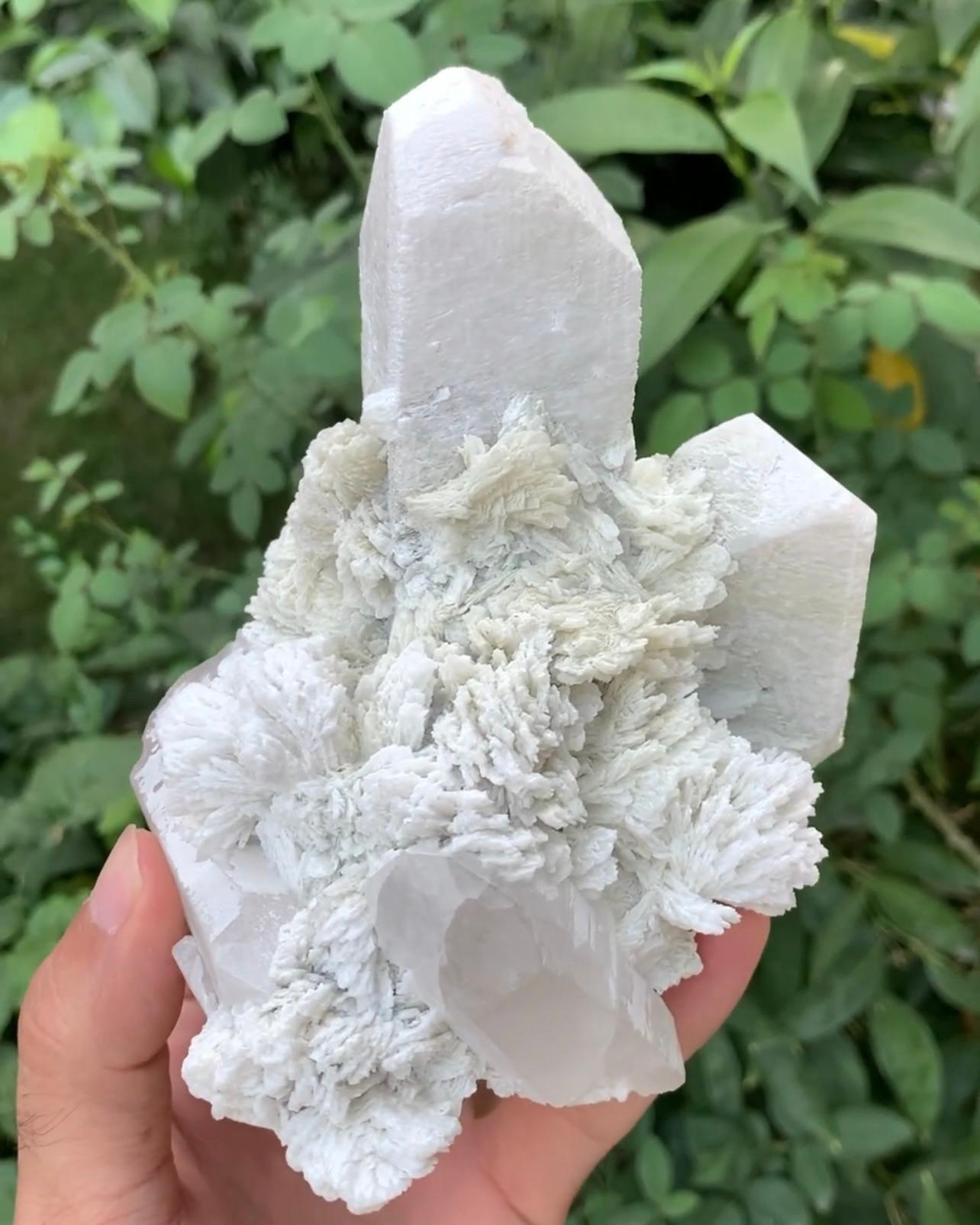 Product Information:

Specimen Type: Microcline Feldspar Cleavelandite with Quartz

Weight: 781 grams

Dimension: H: 14 x W: 11.5 x D: 11 cm

Origin: Skardu District, Gilgit Baltistan, Pakistan

Treatment: None

Description:

This striking mineral