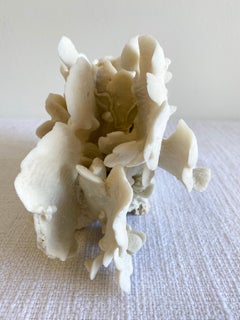 White Natural Cactus Coral