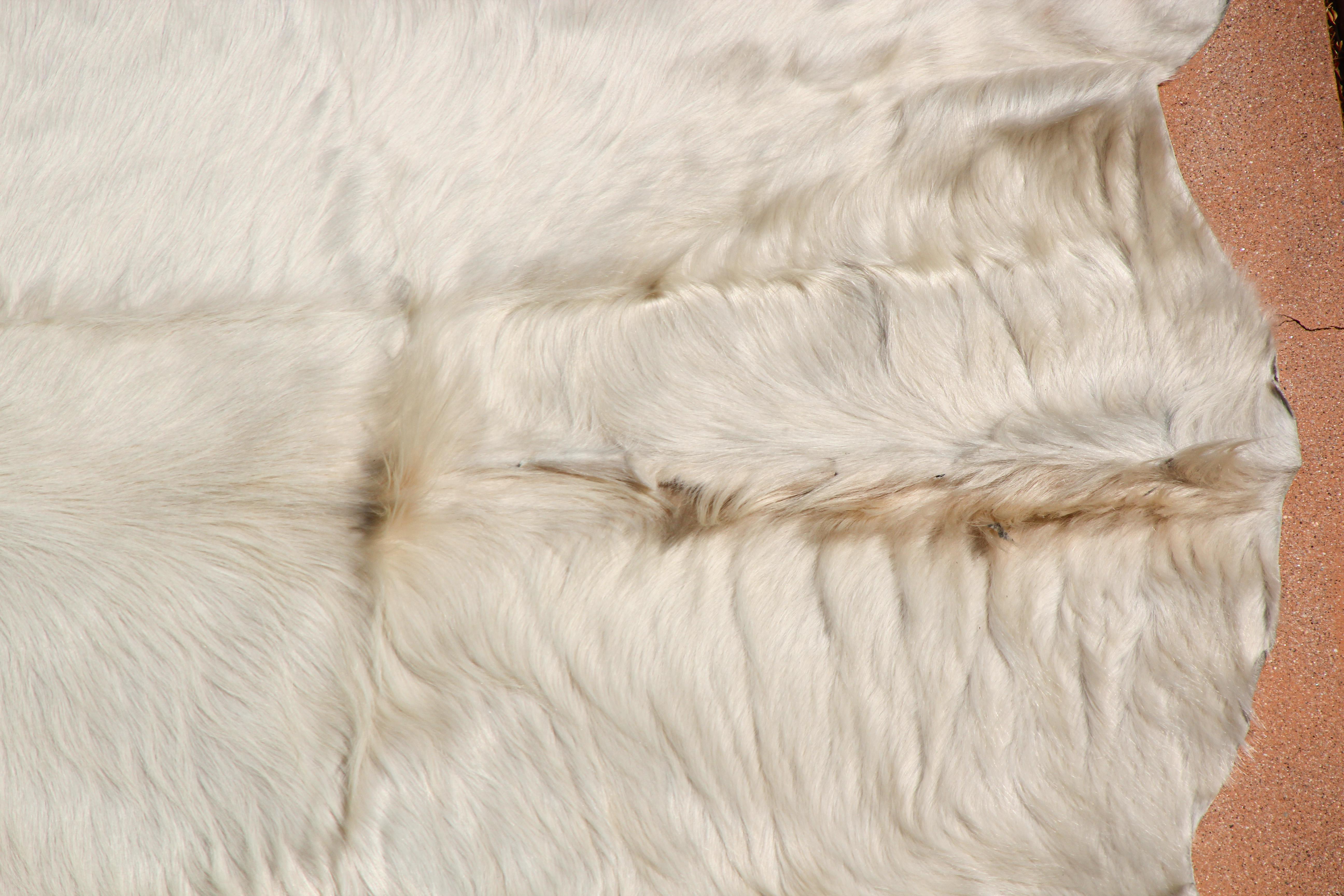 Weißer Teppich aus natürlichem Rindsleder Argentinien im Angebot 6