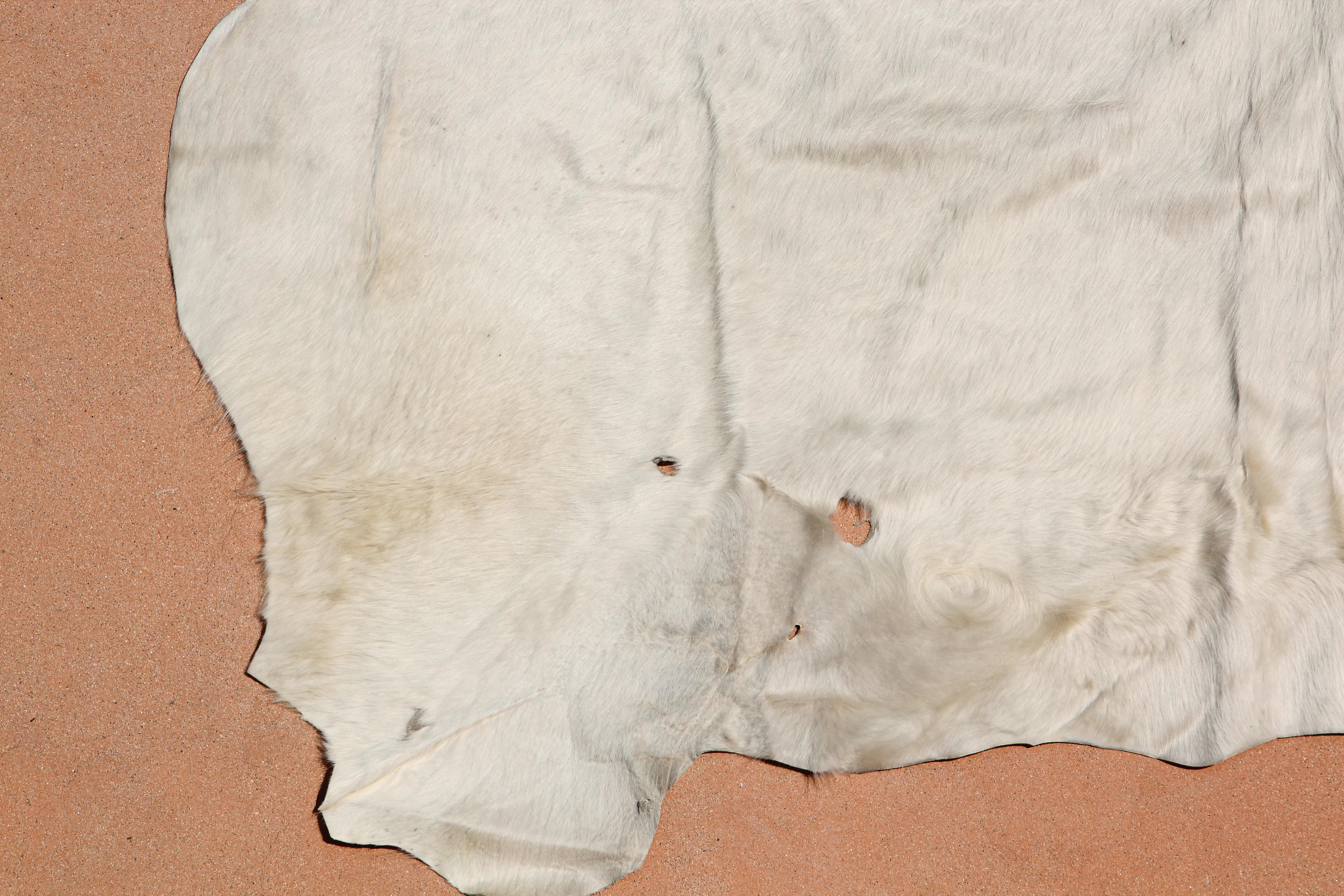 White Natural Cow Hide Rug Argentina For Sale 4