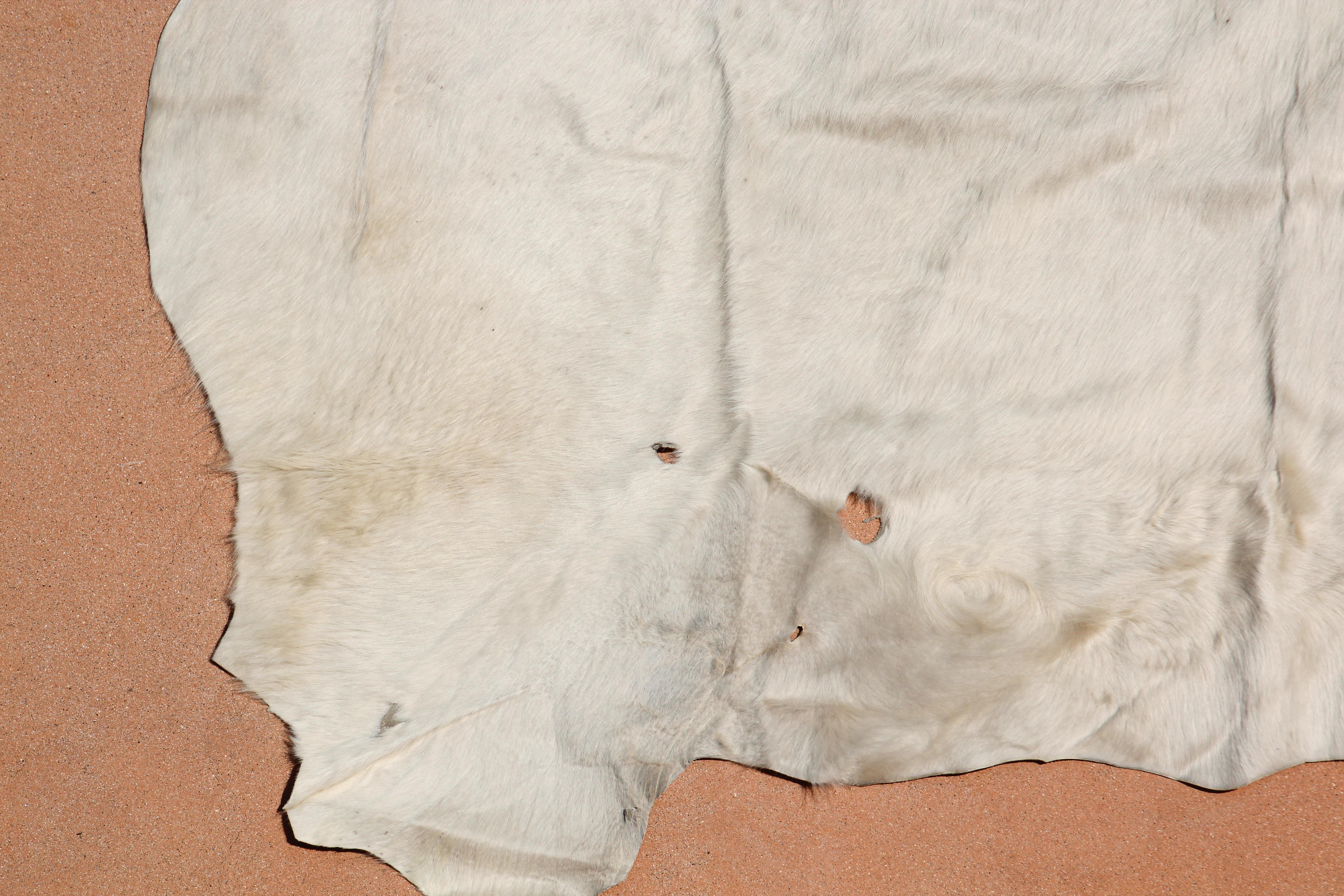 Weißer Teppich aus natürlichem Rindsleder Argentinien (Handgefertigt) im Angebot