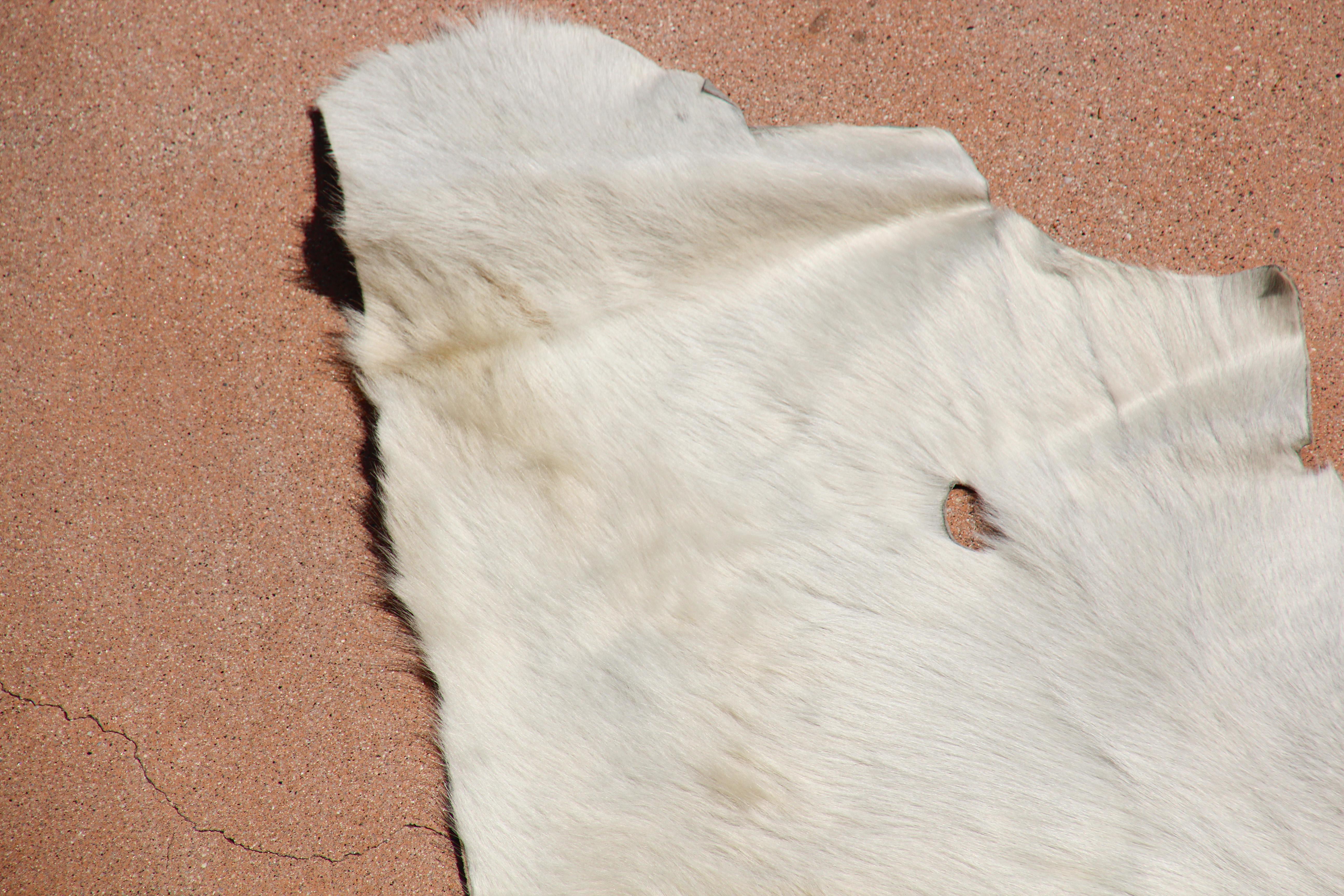 Weißer Teppich aus natürlichem Rindsleder Argentinien (Leder) im Angebot