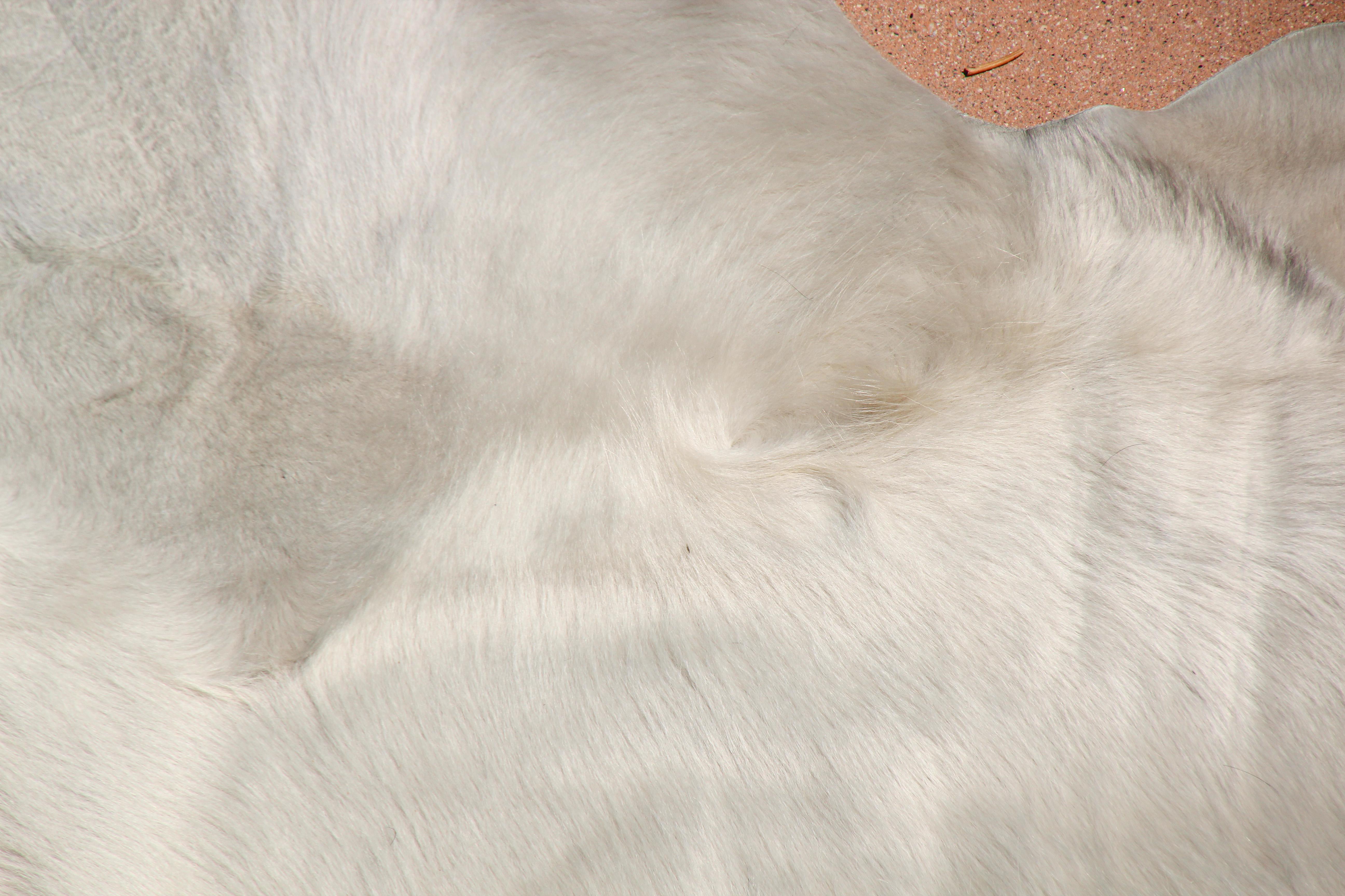 Weißer Teppich aus natürlichem Rindsleder Argentinien im Angebot 1
