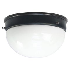 White Opaline Glass Vintage Industrial Bakelite Ceiling Wall Lamp Scones