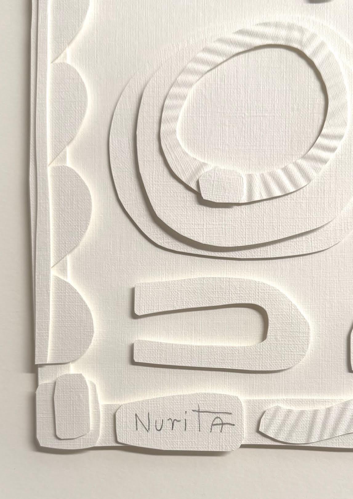 Collage de coupes de papier blanc sur blanc.
Cadre en bois blanc.
L'artiste Nurit Amdur crée des papiers découpés et des collages autour du voyage de la transition et de la transformation de quelque chose en 