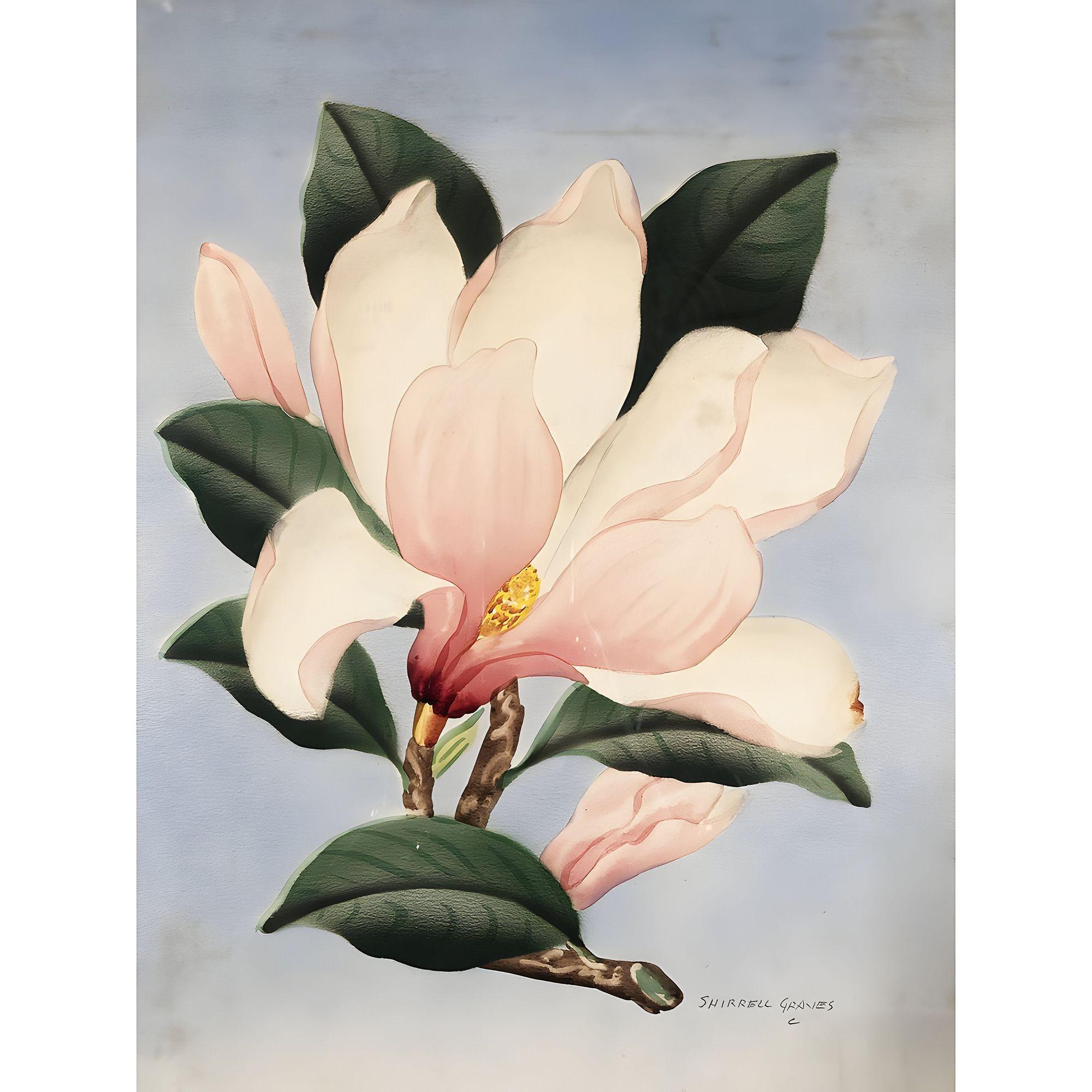 Acquerello su carta originale di Magnolia bianca/rosa degli anni '40 firmato da Shirrell Graves. Il dipinto presenta la sua cornice originale in legno bianco con una stuoia bianca.

Shirrell Graves (1884-1954) è un artista impressionista e moderno.