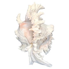 Sculture